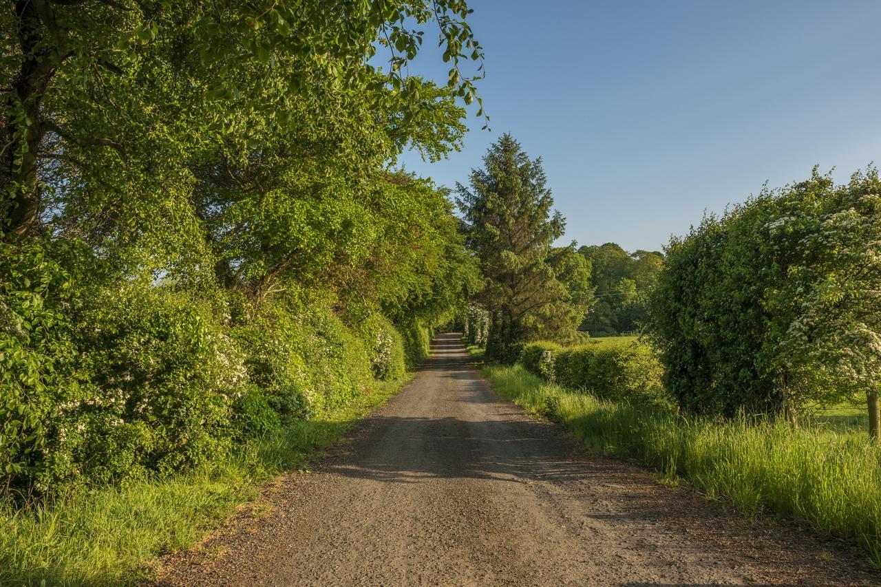 Mill Lodge B&B Banbridge Dış mekan fotoğraf